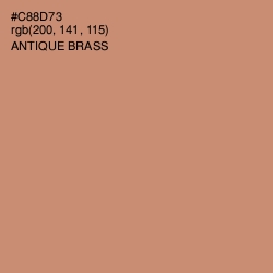 #C88D73 - Antique Brass Color Image